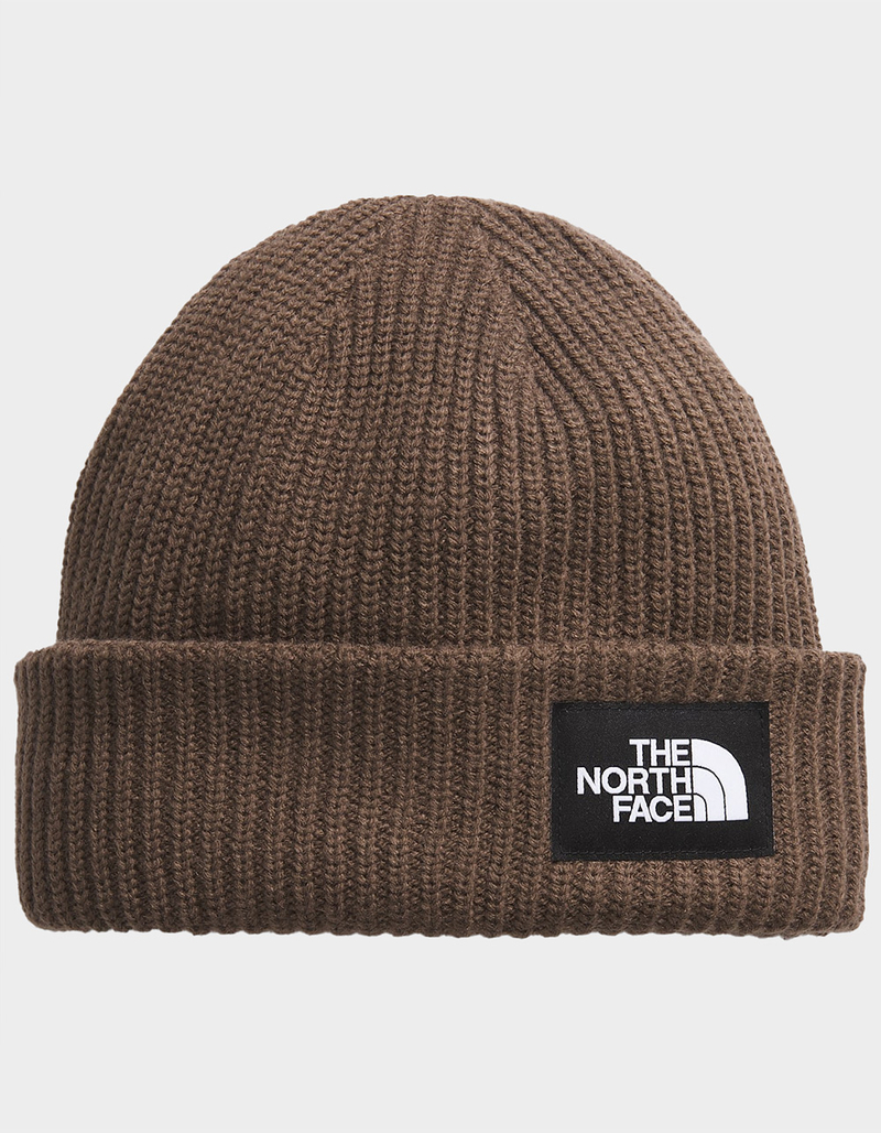 THE NORTH FACE Salty Beanie image number 0