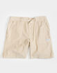 BANKS JOURNAL Big Bear Mens Shorts image number 1