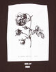LIRA Caldwell Mens Tee image number 3