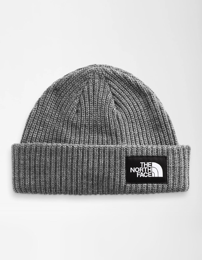 THE NORTH FACE Salty Dog Beanie image number 0