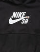 NIKE SB Icon Fleece Boys Pullover Hoodie image number 2