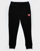 THE NORTH FACE Box NSE Mens Joggers image number 1