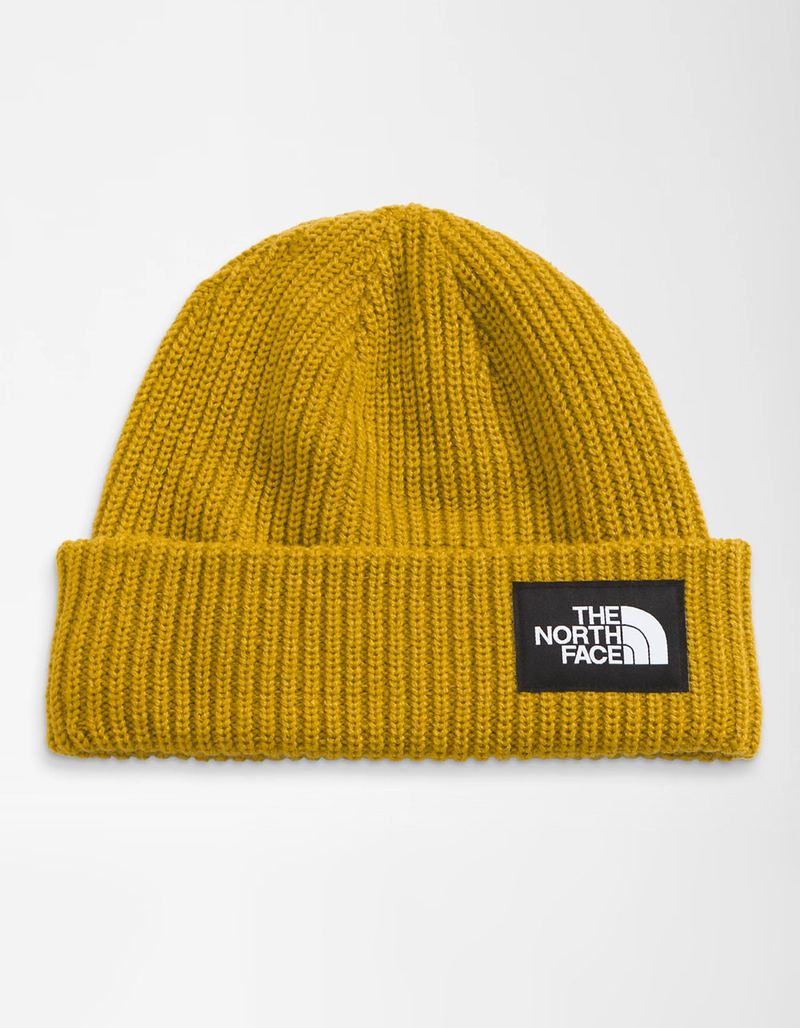 THE NORTH FACE Salty Dog Beanie image number 0