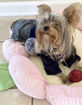 TONBO Pastel Pink Flower Pet Bed image number 3
