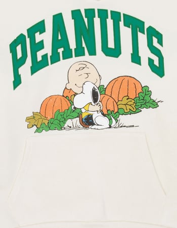 RSQ x Peanuts Pumpkins Mens Oversized Hoodie Alternative Image