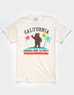 RIOT SOCIETY Cali Party Mens Tee image number 1