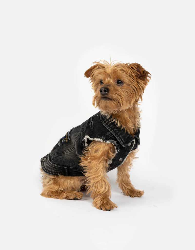 SILVER PAW Spencer Dog Jacket image number 5