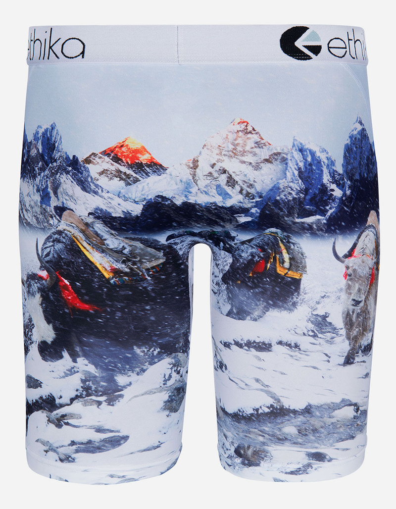 ETHIKA Yakity Yak Staple Boys Underwear image number 2