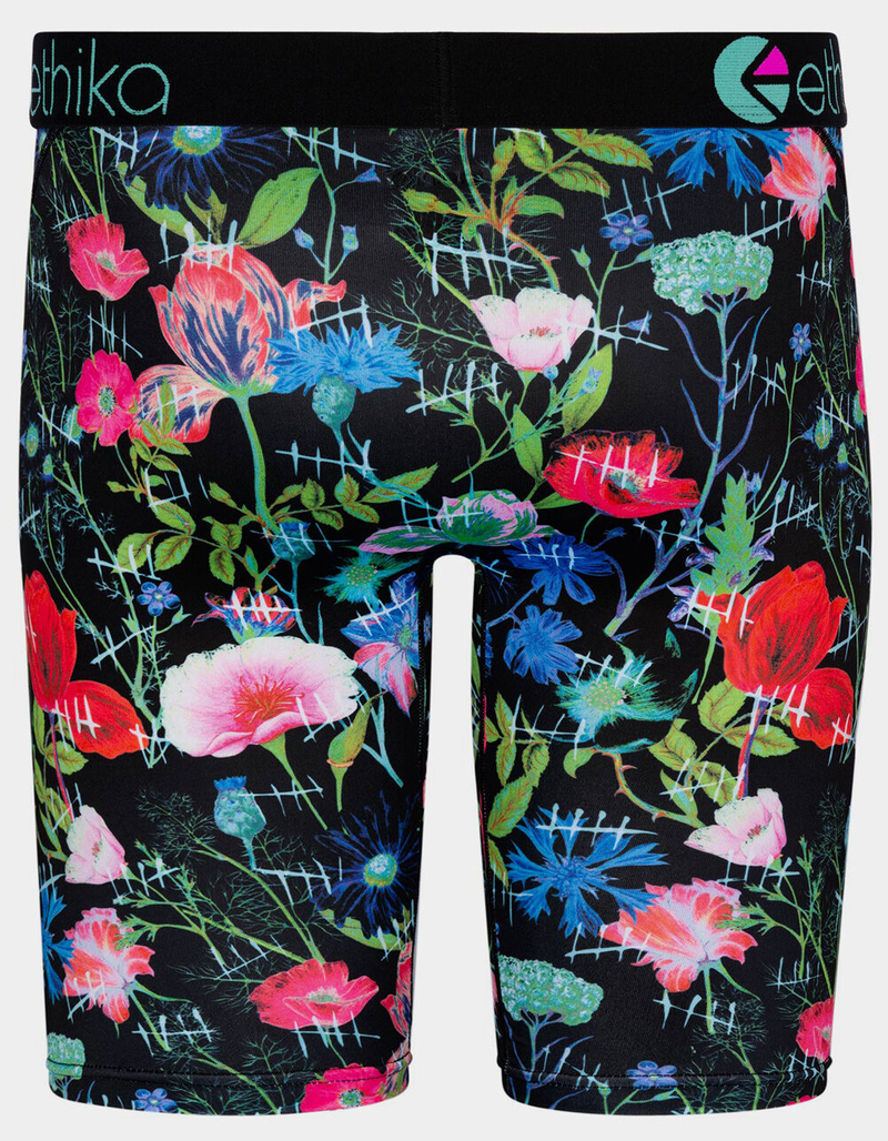 ETHIKA Lifespan Mens Boxer Briefs image number 2