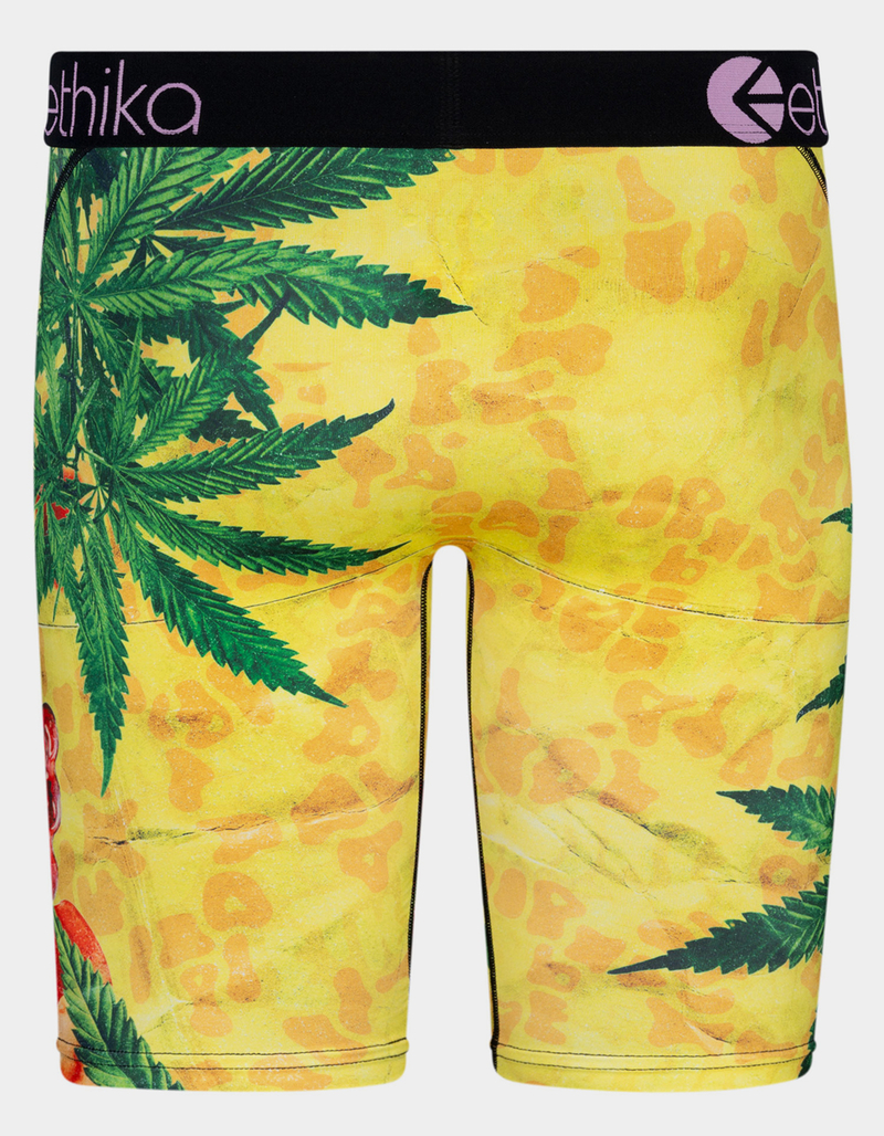 ETHIKA Serving Size Staple Mens Boxer Briefs MULTI Tillys