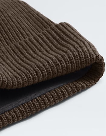 THE NORTH FACE Salty Lined Beanie Alternative Image