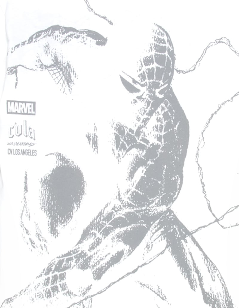 CVLA x Marvel Spider-Man Be Greater Mens Tee image number 4