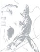 CVLA x Marvel Spider-Man Be Greater Mens Tee image number 5