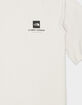 THE NORTH FACE Coordinates Mens Tee image number 4