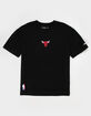PRO STANDARD Chicago Bulls Mens Tee image number 1