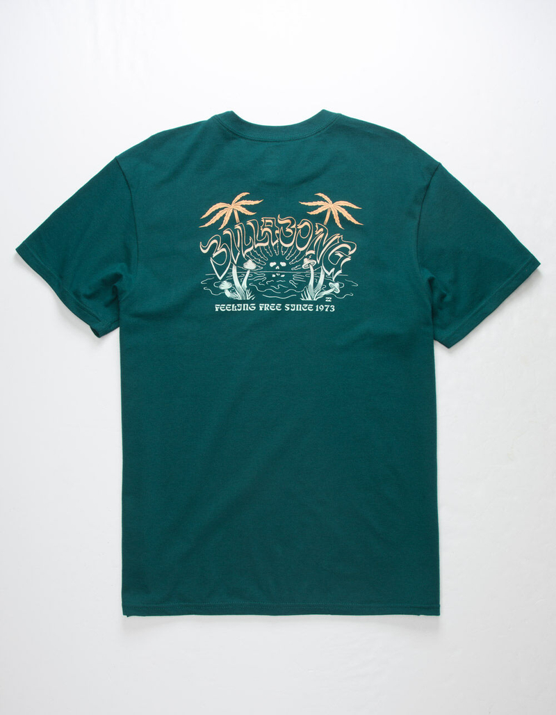 BILLABONG Grateful Mens T-Shirt image number 0