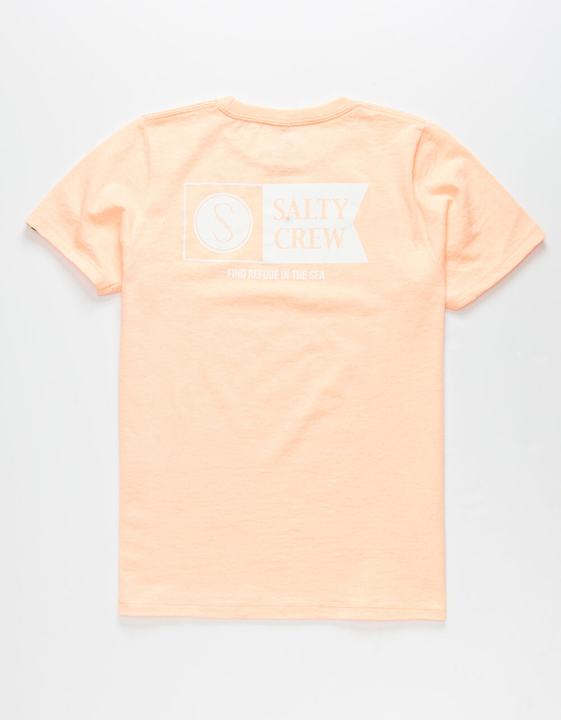 SALTY CREW Alpha Flag Boys T-Shirt image number 0