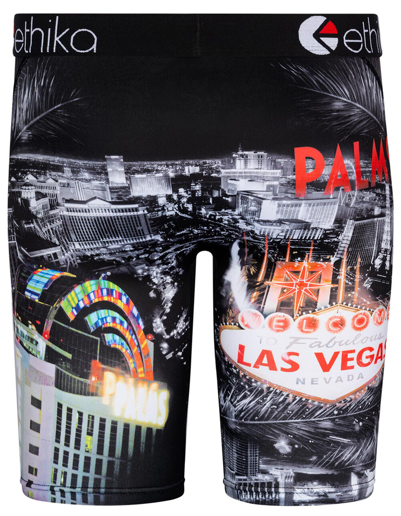 ETHIKA Palms Palace Mens Boxer Briefs image number 1