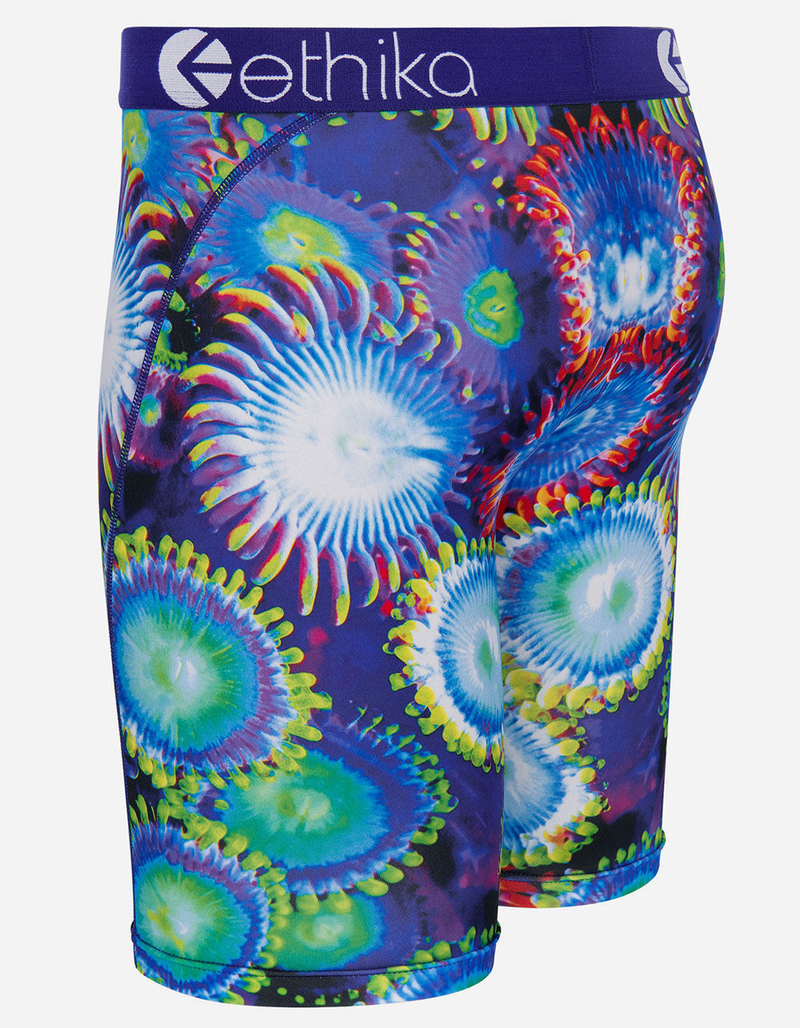ETHIKA Sea Garden Staple Mens Boxer Briefs image number 1