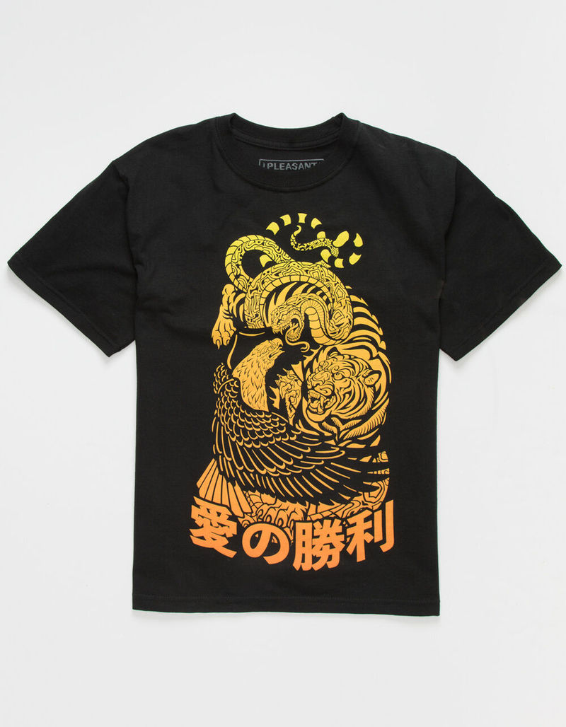 PLEASANT GETAWAY Love Wins Fight Boys T-Shirt image number 0