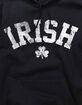 IRELAND Collegiate Irish Distressed Unisex Hoodie image number 2