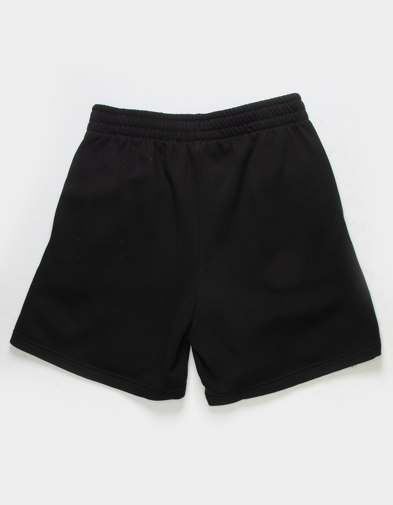 THE NORTH FACE Box NSE Mens Shorts image number 2