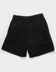 THE NORTH FACE Box NSE Mens Shorts image number 3