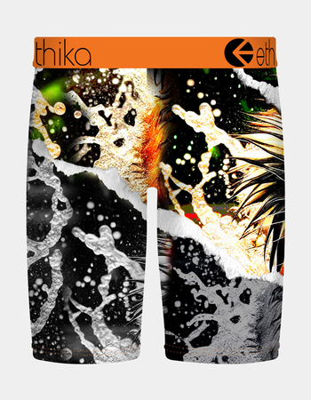 ETHIKA Tiger Temper Staple Boys Boxer Briefs Alternative Image