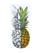 O'NEILL Lahaina Pineapple Sticker image number 1