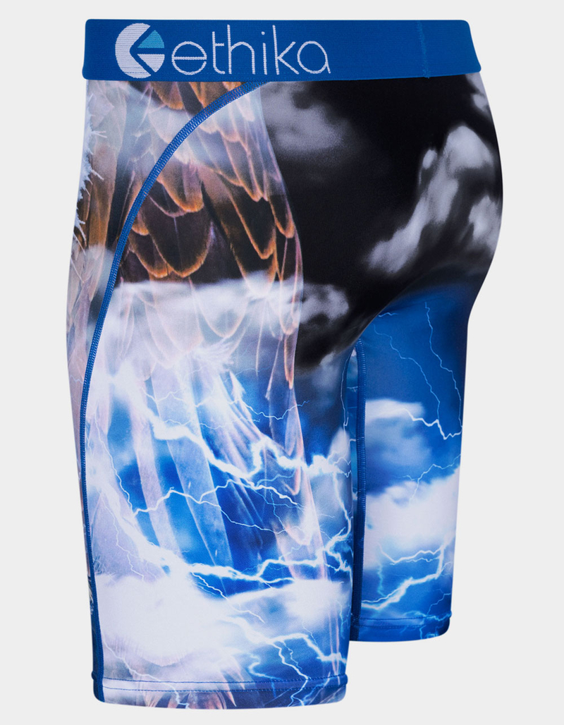 ETHIKA Eagle Shock Mens Staple Boxer Briefs image number 1