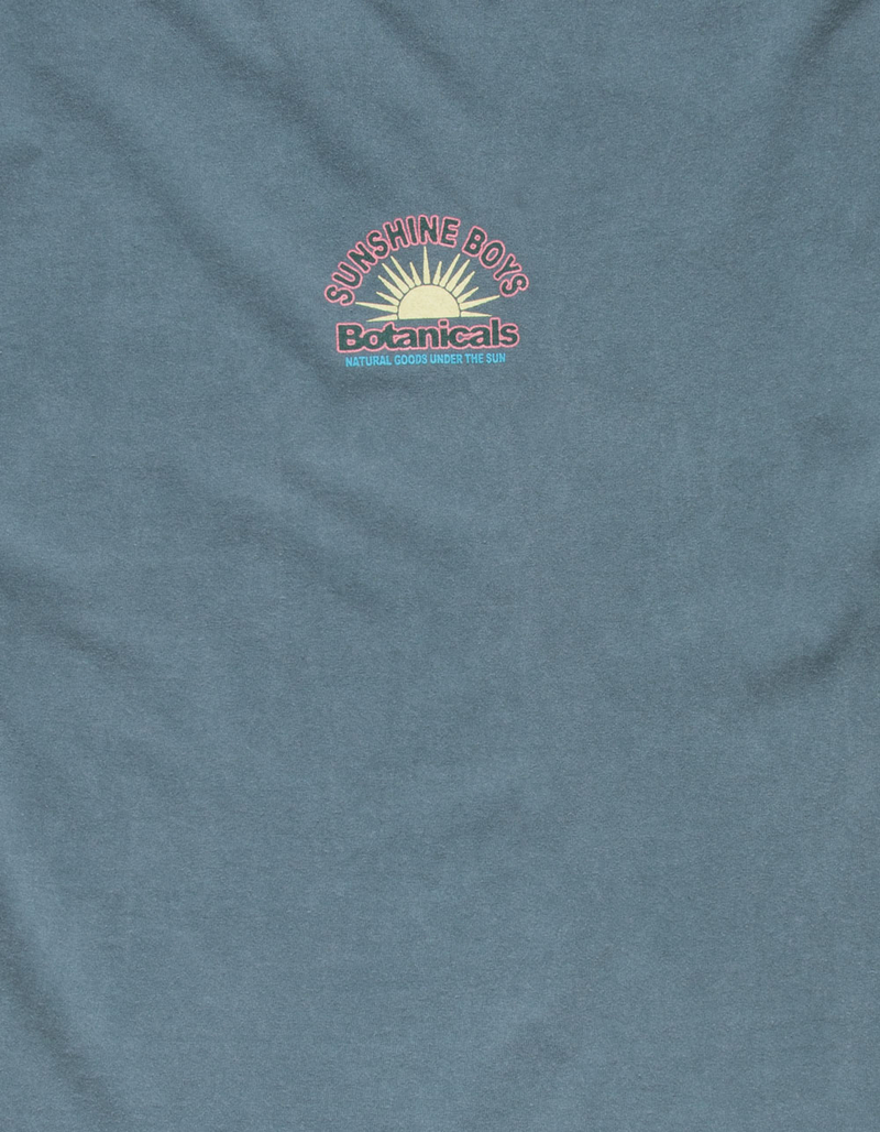 BDG Urban Outfitters Sunshine Boys Mens Tee image number 3