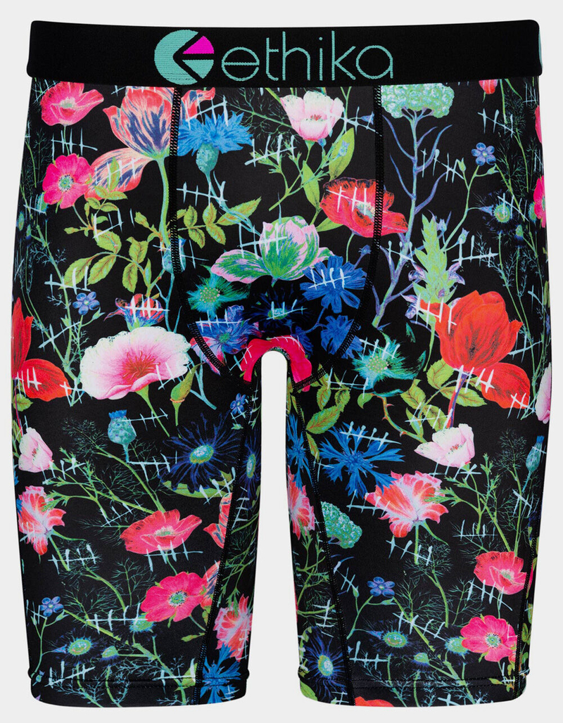 ETHIKA Lifespan Mens Boxer Briefs image number 0