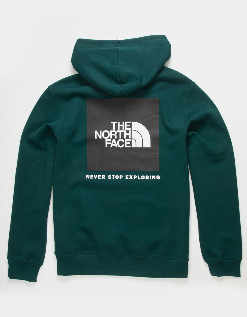 THE NORTH FACE Box NSE Mens Hoodie image number 0