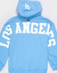 PRO STANDARD Los Angeles Dodgers Wingspan Boys Hoodie image number 3