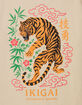 IKIGAI Tiger Mens Tee image number 3