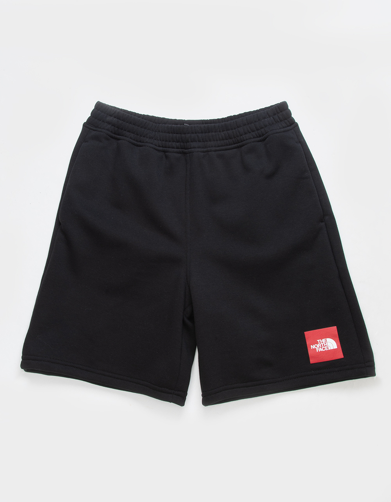 THE NORTH FACE Camp Boys Sweat Shorts image number 0