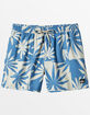 QUIKSILVER Everyday Mix Mens 17'' Volley Shorts image number 1