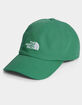THE NORTH FACE Norm Strapback Hat image number 4