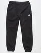 THE NORTH FACE Half Dome Mens Sweatpants image number 2