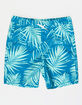 BLUE CROWN Fronds Boys 16.5'' Boardshorts image number 1