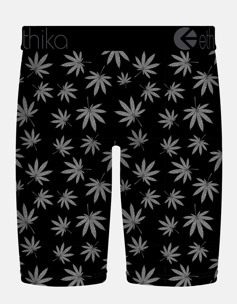 ETHIKA Spot Me Staple Mens Boxer Briefs image number 1