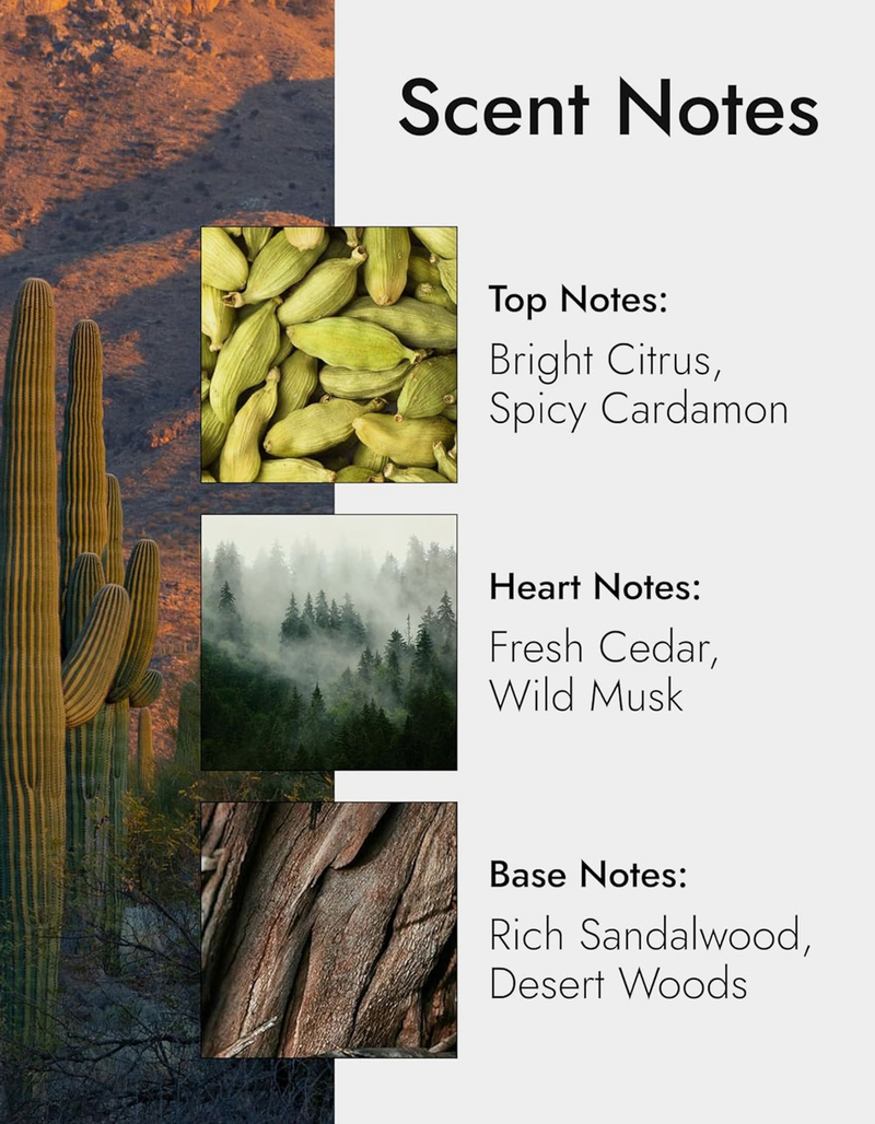 MODERN MEMORY Western Santal Eau de Toilette for Men image number 2