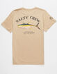 SALTY CREW Ahi Mount Mens Tee image number 1