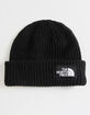THE NORTH FACE Salty Kids Beanie image number 1