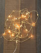 Gold Star Wire LED Lights image number 1