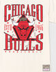 MITCHELL & NESS Chicago Bulls Shattered Mens Tee image number 2