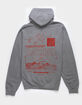BDG Urban Outfitters Grey Natures Mens Fleece Hoodie image number 2