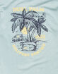 VANS Palm Delivery Mens Tee image number 3