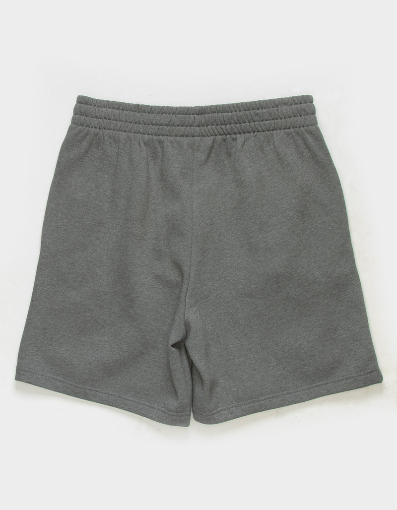THE NORTH FACE Box NSE Mens Shorts image number 1