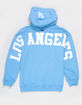 PRO STANDARD Los Angeles Dodgers Wingspan Boys Hoodie image number 1